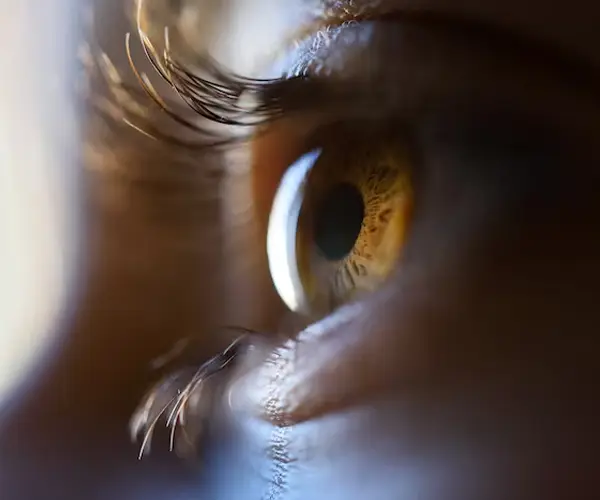 Retina